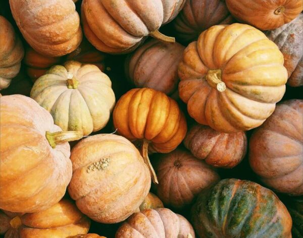 Eat the season - November