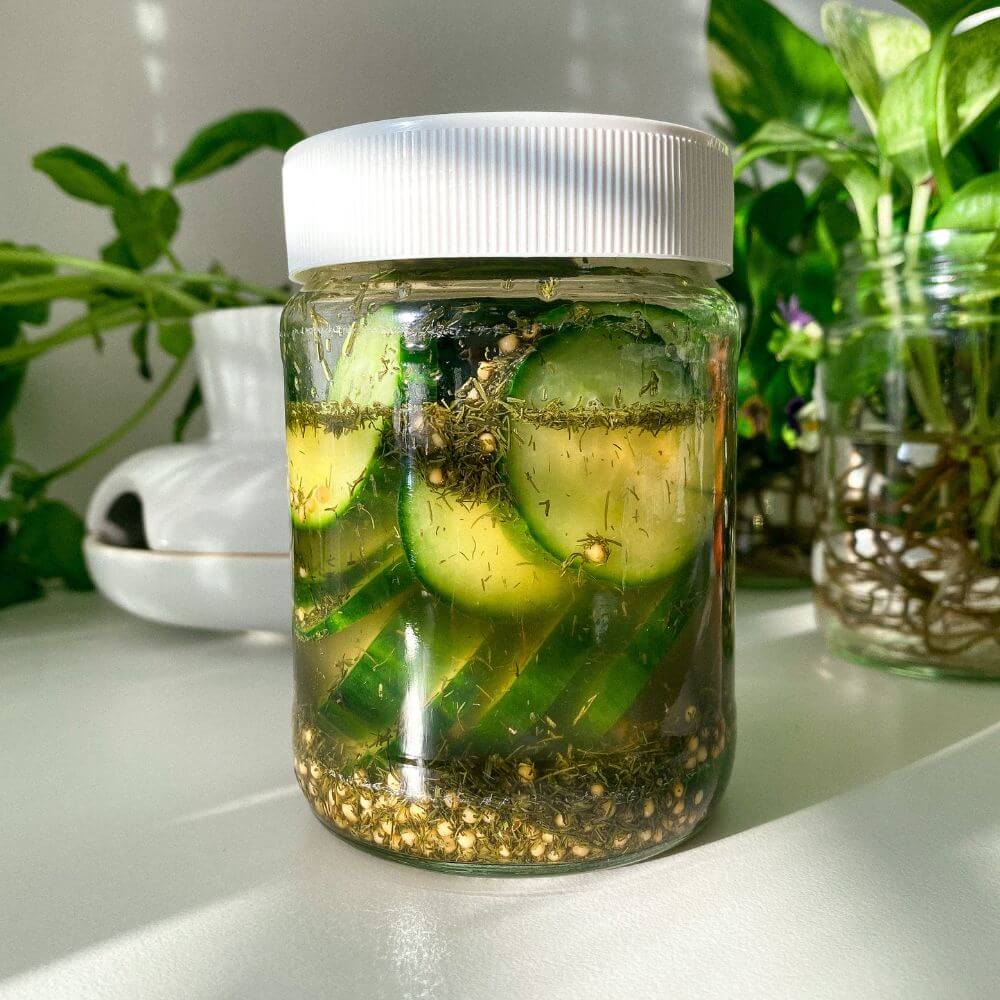 Quickly Pickled cucumbers