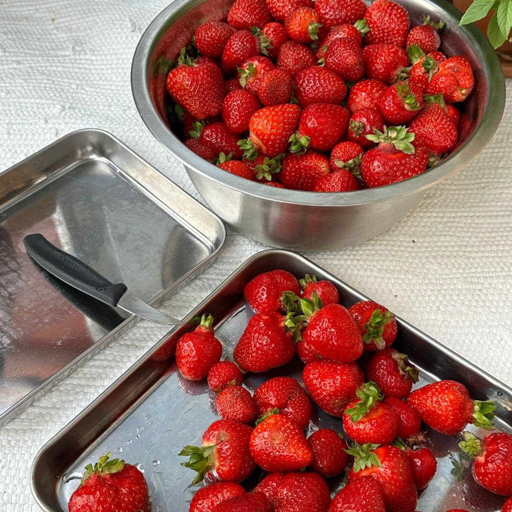 Mansikkamehu mansikankannoista