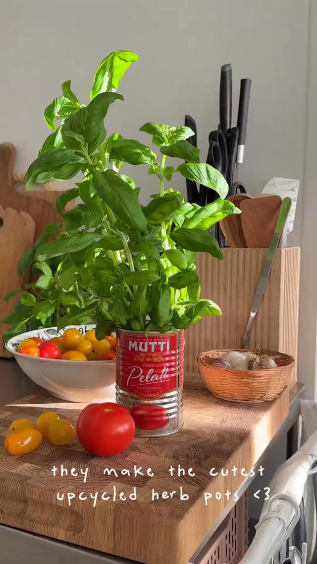 A cute way to upcycle your empty tomato cans ❤️

upcycling, tomato cans, herb pots, garden inspiration, herb garden, mutti tomato upcycling